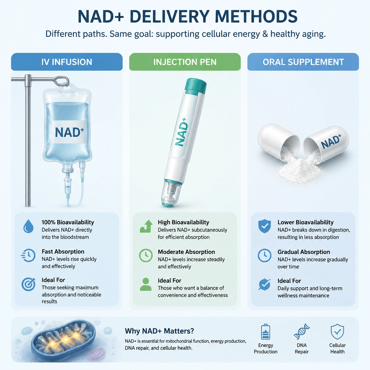 NAD+ Delivery Methods Infographic